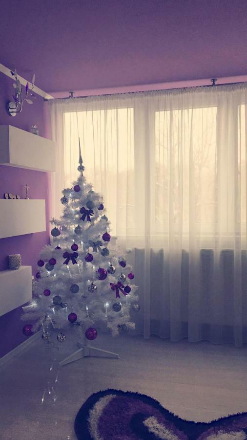 בוקרשט Apartament 2 Camere מראה חיצוני תמונה